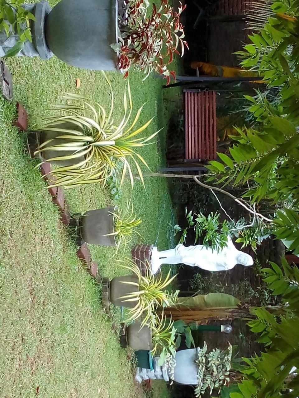 Waterway Garden Villa Polonnaruwa Exteriör bild