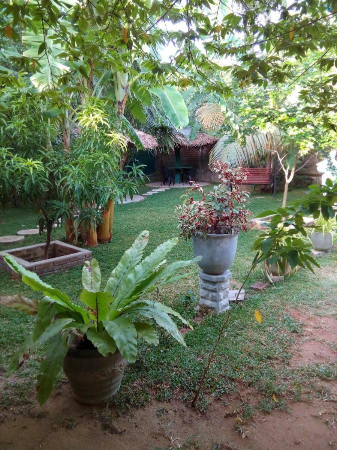 Waterway Garden Villa Polonnaruwa Exteriör bild